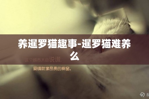 養暹羅貓趣事-暹羅貓難養么