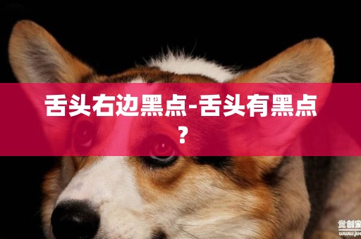 舌頭右邊黑點-舌頭有黑點？