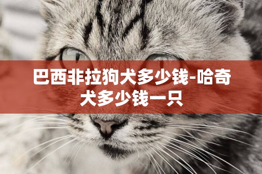 巴西非拉狗犬多少錢-哈奇犬多少錢一只
