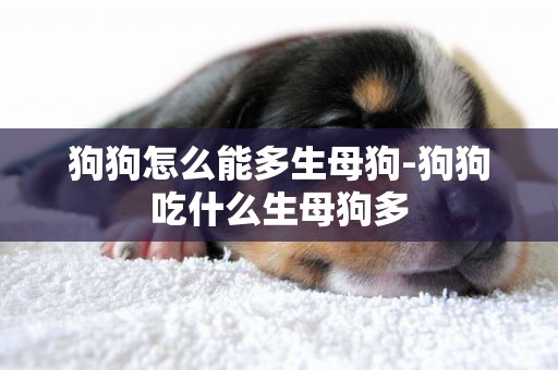 狗狗怎么能多生母狗-狗狗吃什么生母狗多