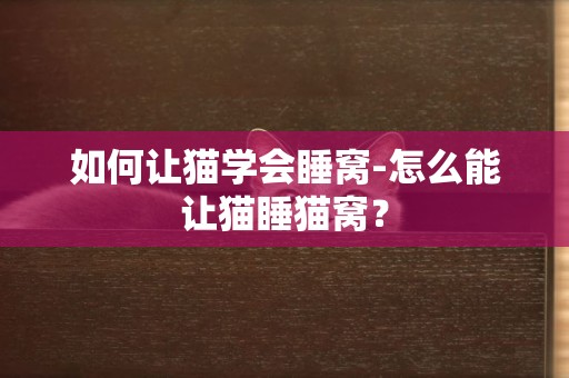 如何讓貓學會睡窩-怎么能讓貓睡貓窩？