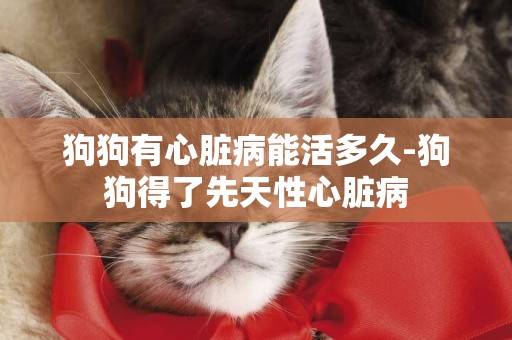 狗狗有心臟病能活多久-狗狗得了先天性心臟病