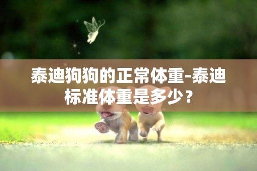 泰迪狗狗的正常體重-泰迪標準體重是多少？