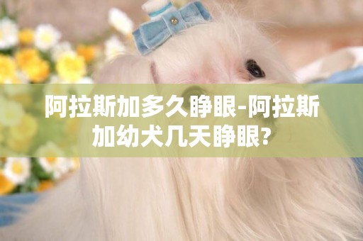 阿拉斯加多久睜眼-阿拉斯加幼犬幾天睜眼?