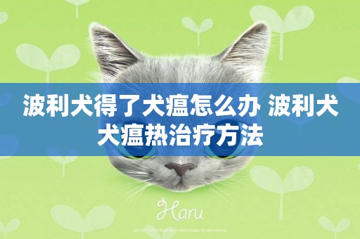 波利犬得了犬瘟怎么辦 波利犬犬瘟熱治療方法