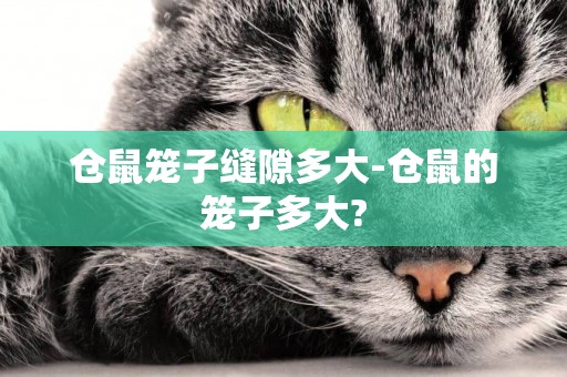 倉鼠籠子縫隙多大-倉鼠的籠子多大?