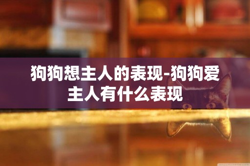 狗狗想主人的表現-狗狗愛主人有什么表現