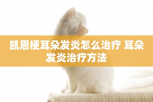 凱恩梗耳朵發炎怎么治療 耳朵發炎治療方法