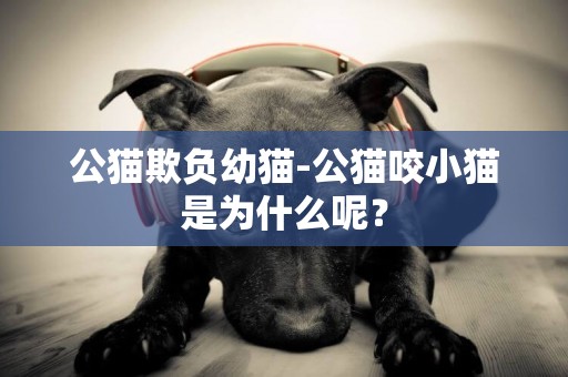 公貓欺負幼貓-公貓咬小貓是為什么呢？