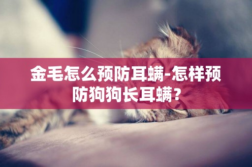 金毛怎么預防耳螨-怎樣預防狗狗長耳螨？