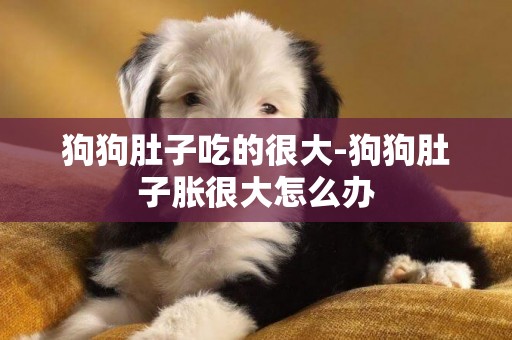 狗狗肚子吃的很大-狗狗肚子脹很大怎么辦