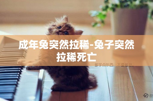 成年兔突然拉稀-兔子突然拉稀死亡