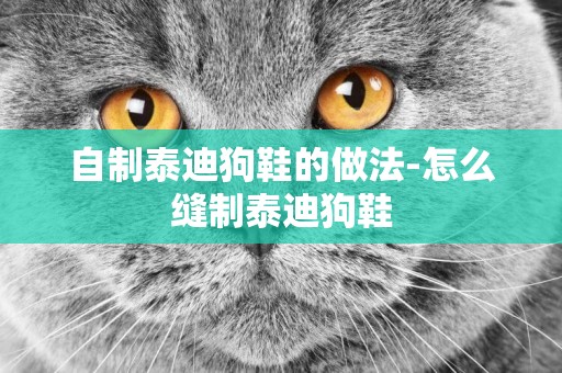 自制泰迪狗鞋的做法-怎么縫制泰迪狗鞋