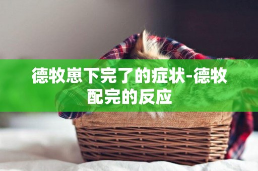 德牧崽下完了的癥狀-德牧配完的反應