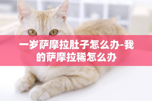 一歲薩摩拉肚子怎么辦-我的薩摩拉稀怎么辦