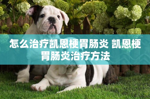 怎么治療凱恩梗胃腸炎 凱恩梗胃腸炎治療方法