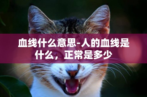 血線什么意思-人的血線是什么，正常是多少