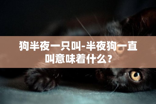 狗半夜一只叫-半夜狗一直叫意味著什么？