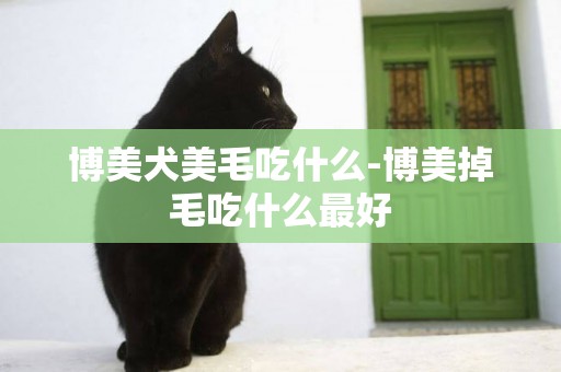 博美犬美毛吃什么-博美掉毛吃什么最好