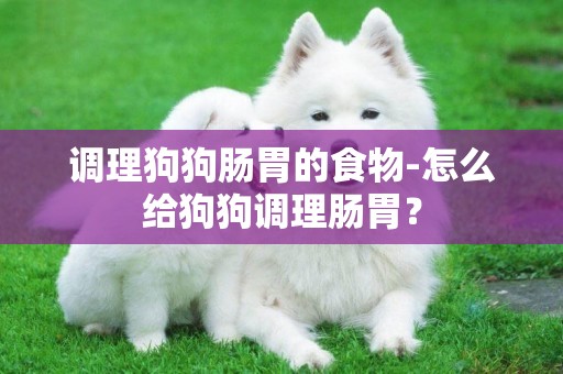 調理狗狗腸胃的食物-怎么給狗狗調理腸胃？