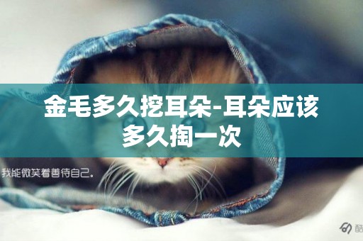 金毛多久挖耳朵-耳朵應該多久掏一次