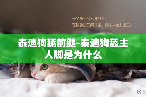 泰迪狗舔前腿-泰迪狗舔主人腳是為什么