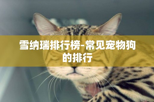 雪納瑞排行榜-常見寵物狗的排行