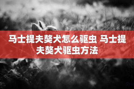 馬士提夫獒犬怎么驅蟲 馬士提夫獒犬驅蟲方法