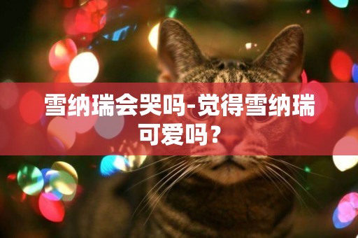 雪納瑞會哭嗎-覺得雪納瑞可愛嗎？