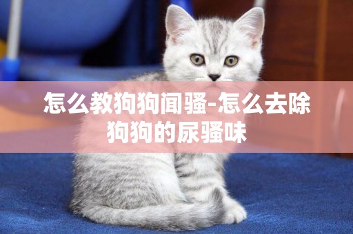 怎么教狗狗聞騷-怎么去除狗狗的尿騷味