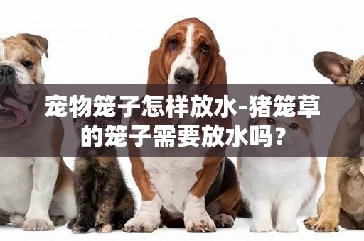 寵物籠子怎樣放水-豬籠草的籠子需要放水嗎？
