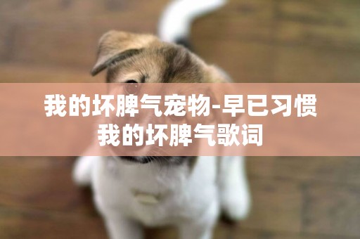 我的壞脾氣寵物-早已習慣我的壞脾氣歌詞