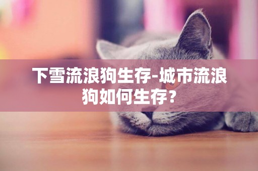 下雪流浪狗生存-城市流浪狗如何生存？
