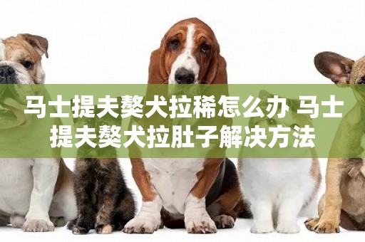 馬士提夫獒犬拉稀怎么辦 馬士提夫獒犬拉肚子解決方法