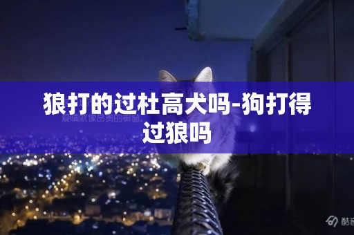 狼打的過杜高犬嗎-狗打得過狼嗎