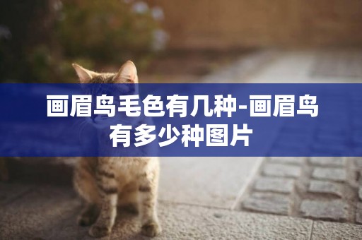 畫眉鳥毛色有幾種-畫眉鳥有多少種圖片