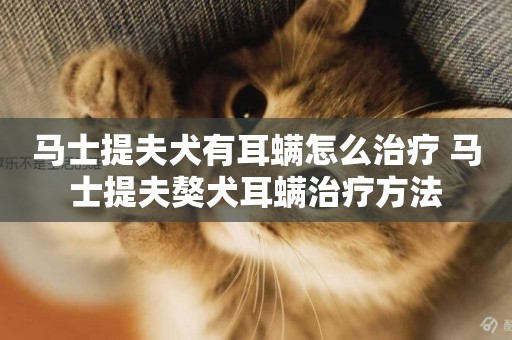 馬士提夫犬有耳螨怎么治療 馬士提夫獒犬耳螨治療方法