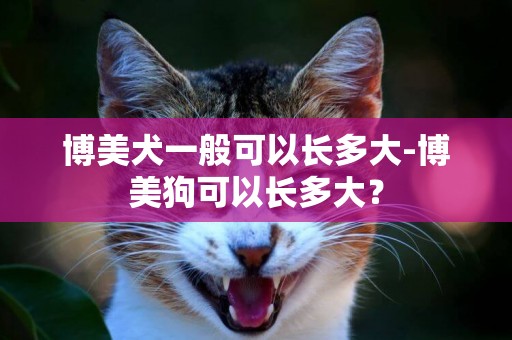博美犬一般可以長多大-博美狗可以長多大？