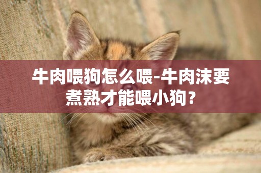 牛肉喂狗怎么喂-牛肉沫要煮熟才能喂小狗？