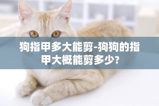 狗指甲多大能剪-狗狗的指甲大概能剪多少?