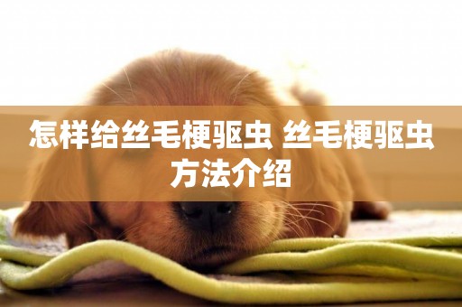 怎樣給絲毛梗驅蟲 絲毛梗驅蟲方法介紹