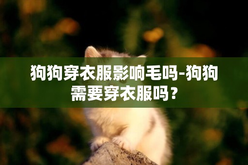 狗狗穿衣服影響毛嗎-狗狗需要穿衣服嗎？