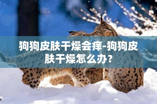 狗狗皮膚干燥會癢-狗狗皮膚干燥怎么辦? 狗狗皮膚干燥會癢-狗狗皮膚干燥怎么辦?