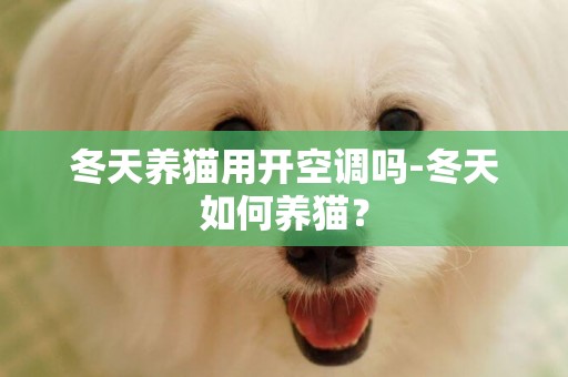 冬天養貓用開空調嗎-冬天如何養貓？