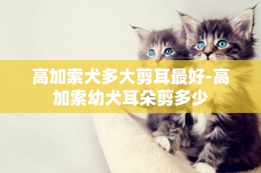 高加索犬多大剪耳最好-高加索幼犬耳朵剪多少