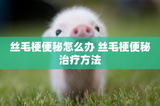 絲毛梗便秘怎么辦 絲毛梗便秘治療方法