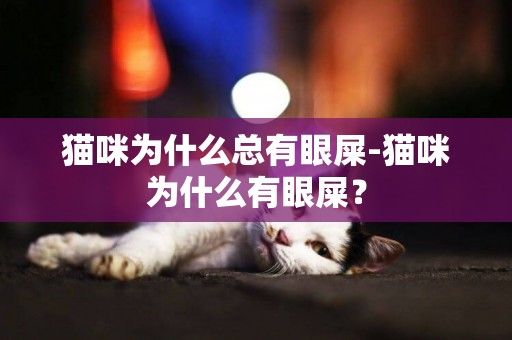 貓咪為什么總有眼屎-貓咪為什么有眼屎？