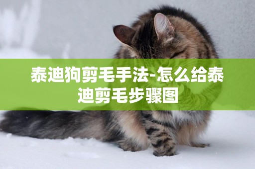 泰迪狗剪毛手法-怎么給泰迪剪毛步驟圖