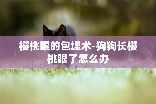 櫻桃眼的包埋術-狗狗長櫻桃眼了怎么辦
