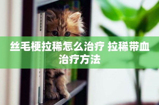 絲毛梗拉稀怎么治療 拉稀帶血治療方法